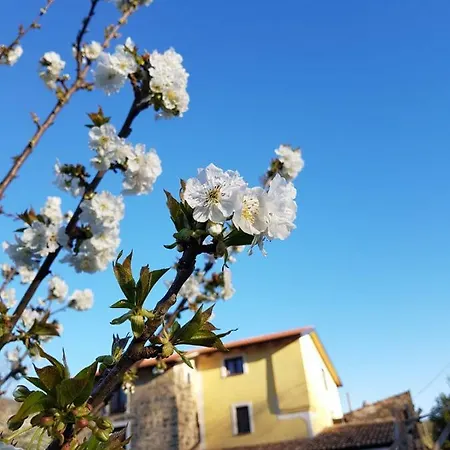 Le Quattro Pietre Камерота